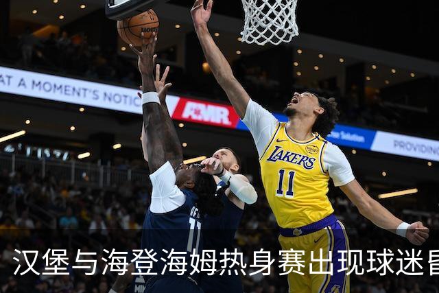 汉堡与海登海姆热身赛出现球迷昏迷，队医和救护车先后急救