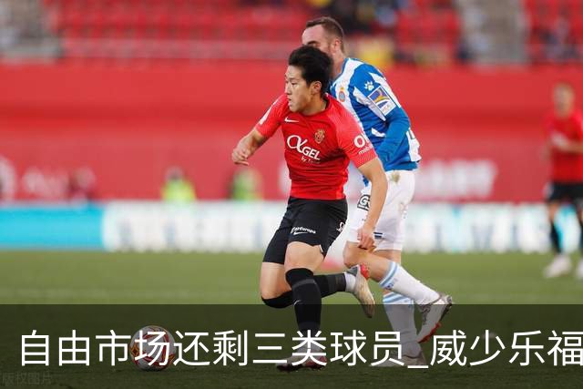 自由市场还剩三类球员 威少乐福领衔失业大军？